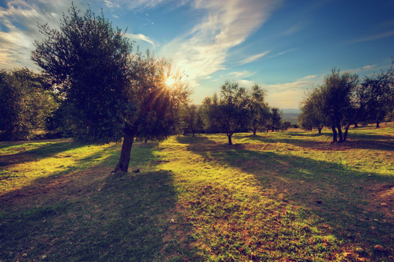 foto panorámica de nuestra estancia
